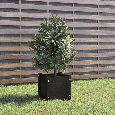 VIDAXL -Planungsbox 31x31x31 cm Festkiefer schwarz