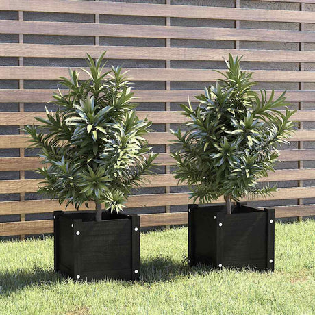 VIDAXL -Pflanzer 2 PCs 31x31x31 cm Festkiefer Kiefer schwarz
