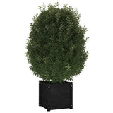 VIDAXL -Planungsbox 40x40x40 cm Festkiefer schwarz