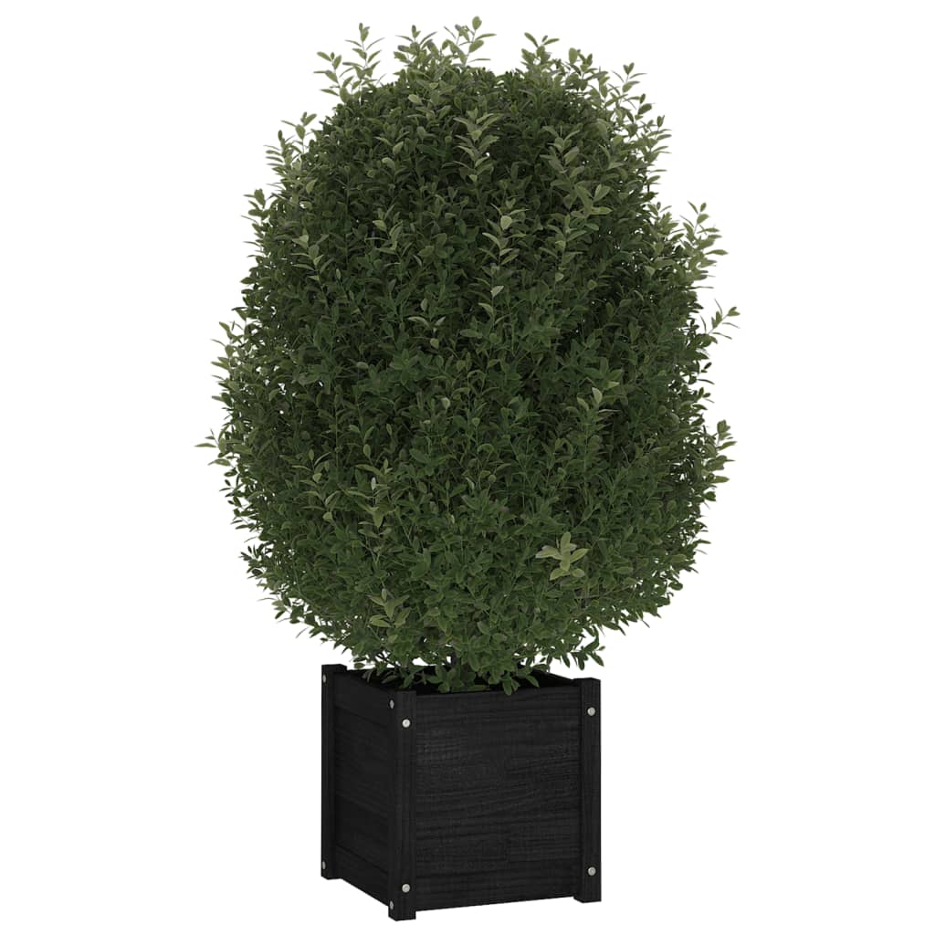 VIDAXL -Pflanzer 2 ST 40x40x40 cm Festkiefer schwarz