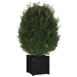 VIDAXL -Pflanzer 2 ST 40x40x40 cm Festkiefer schwarz