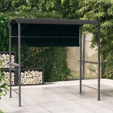 Arbor Vidaxl avec toit 220x110x200 cm anthracite -colored