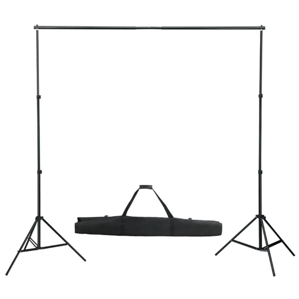 Vidaxl Photo Studio Set con set di illuminazione e sfondo