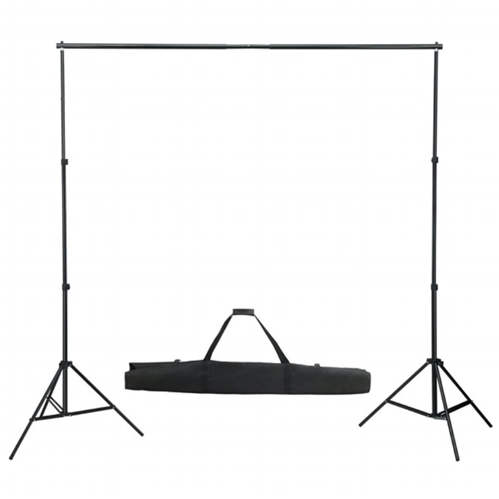 Vidaxl Photo studio set with lighting set and background