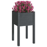 Vidaxl Planters 2 St 40x40x70 cm Trdna borov siva