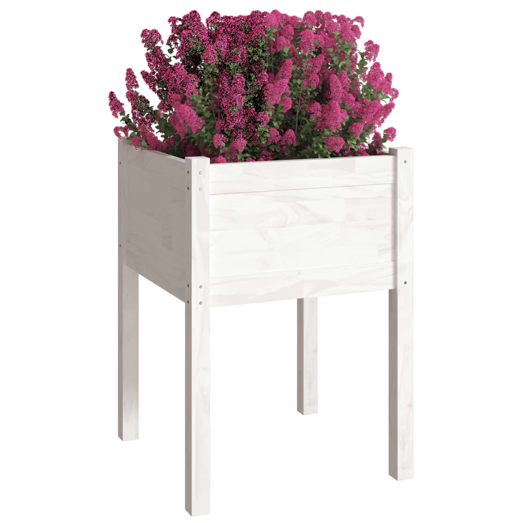 Vidaxl Planters 2 St 50x50x70 cm Trdna bora bela