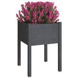 Vidaxl Planters 2 St 50x50x70 cm Trdna borov siva