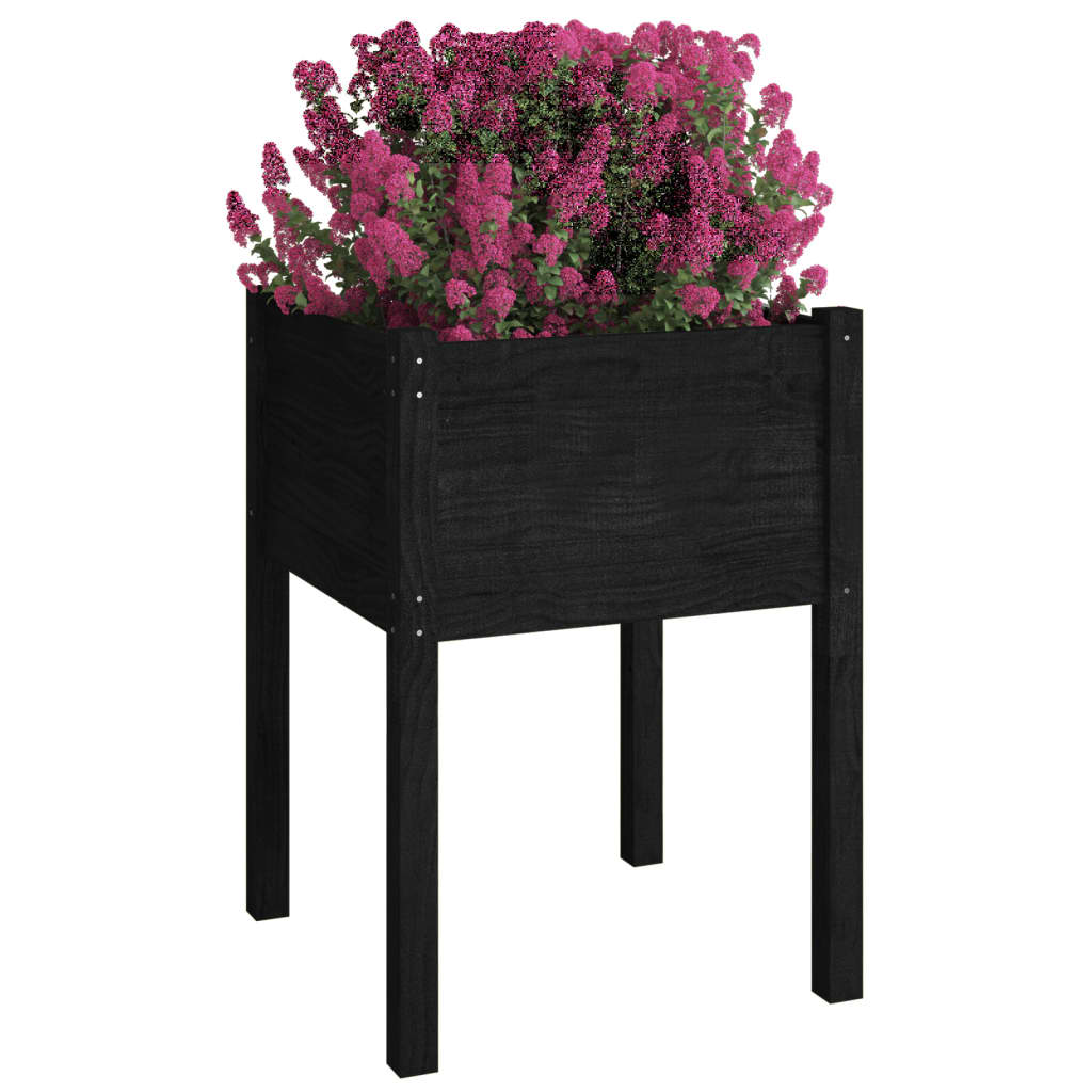 VIDAXL -Pflanzer 2 ST 50x50x70 cm Festkiefer schwarz
