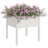 VIDAXL -Pflanzer 2 ST 70x70x70 cm Festkiefer weiß