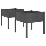 VIDAXL -Pflanzer 2 ST 70x70x70 cm Festkiefergrau