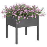 Vidaxl Planters 2 ST 70x70x70 cm Solid Pine Grey