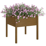 Vidaxl Pflanzer 2 ST 70x70x70 cm Festkiefer Honigbraun