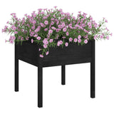 VIDAXL -Pflanzer 2 ST 70x70x70 cm Festkiefer schwarz
