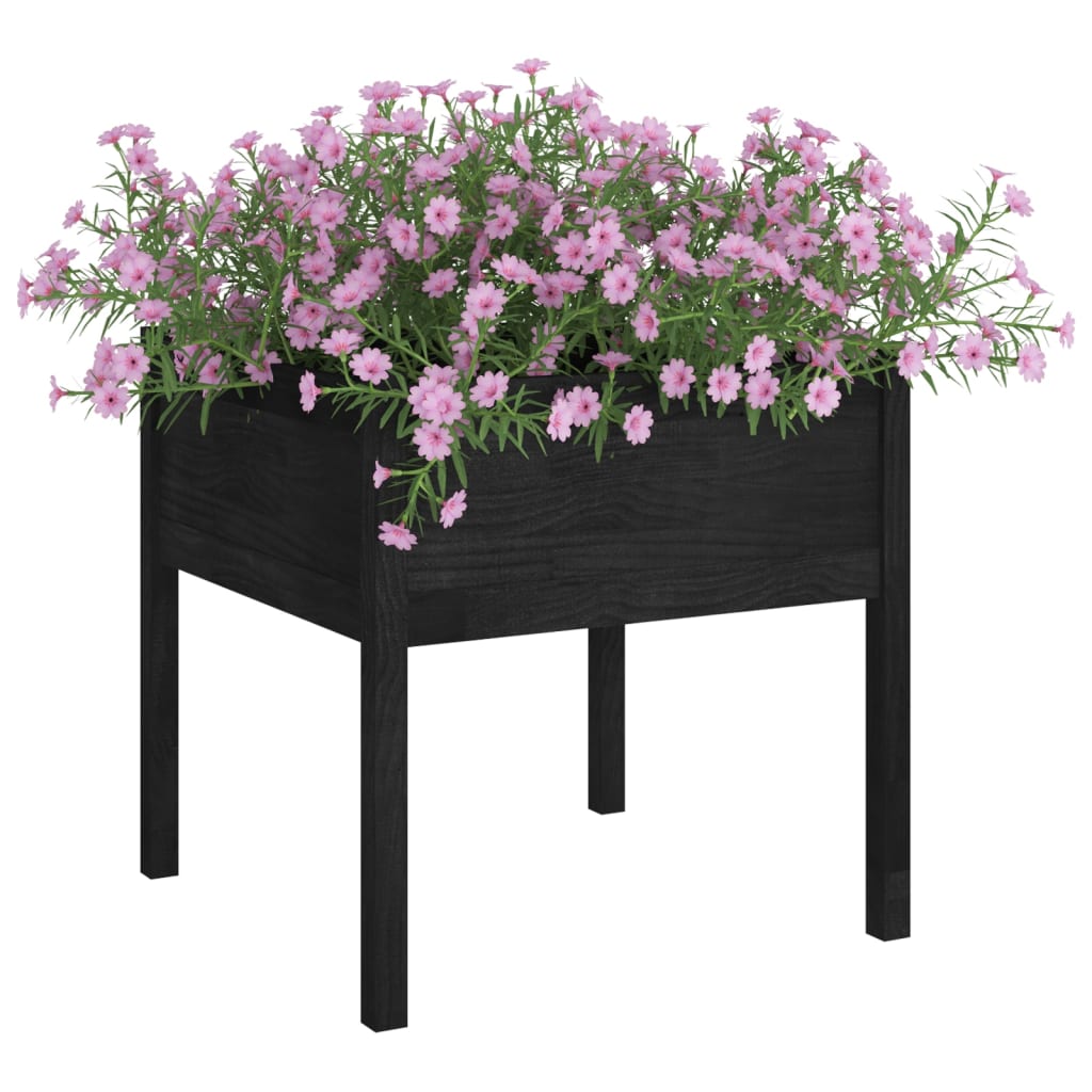 Vidaxl Planters 2 St 70x70x70 cm trden borov črna