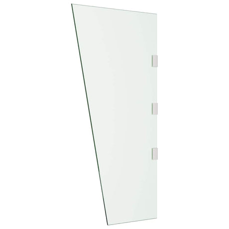 VIDAXL -Seitenplatte für Tür -Baldachin 50x100 cm gehärtetes Glas transparent