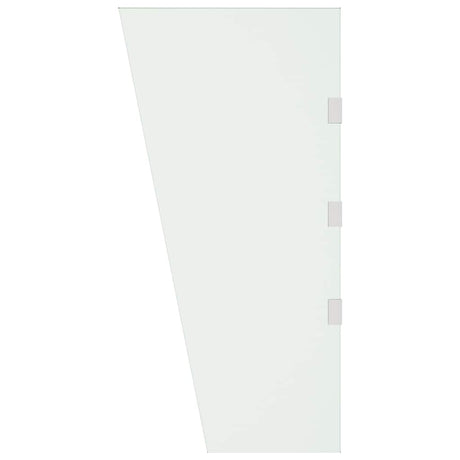VIDAXL -Seitenplatte für Tür -Baldachin 50x100 cm gehärtetes Glas transparent
