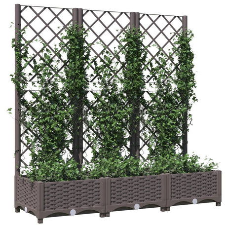 Vidaxxl Pflanzgefäß mit Spalier braun 120x40x121,5 cm PP
