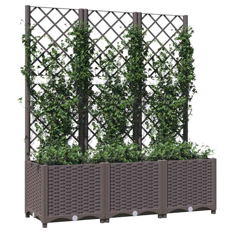 Vidaxxl Pflanzgefäß mit Spalier braun 120x40x136 cm PP