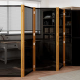Vidaxl kamerscherm met 6 panelen 420x180 cm zwart