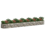 Vidaxl Gabion Planter surélevé 600x100x50 cm fer galvanisé