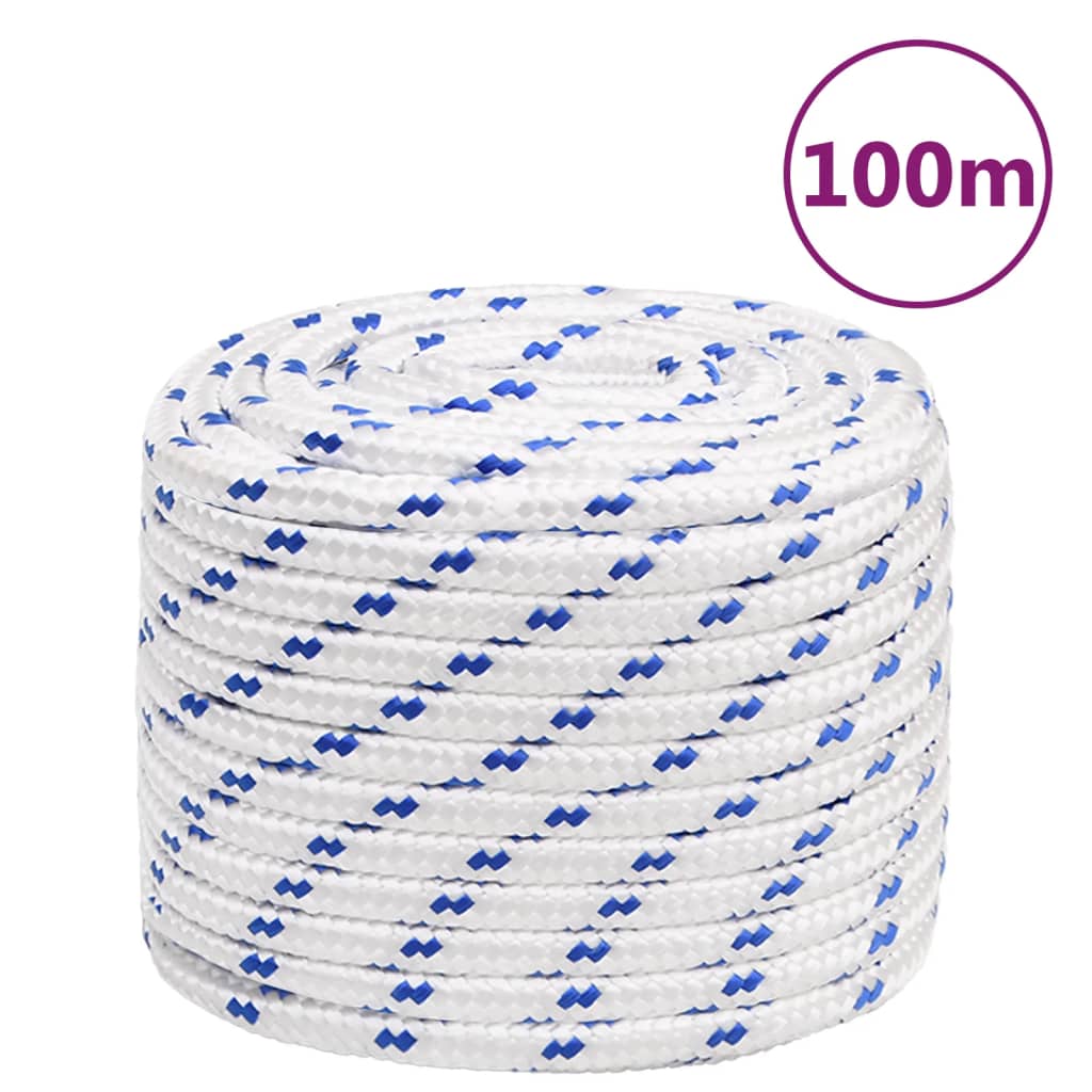 Corde à démarrage Vidaxl 16 mm 100 m de polypropylène blanc