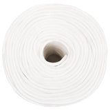 Vidaxl Bootsseil 10 mm 25 m Polypropylen massiv weiß