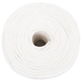 Vidaxl boat rope 10 mm 500 m polypropylene full white