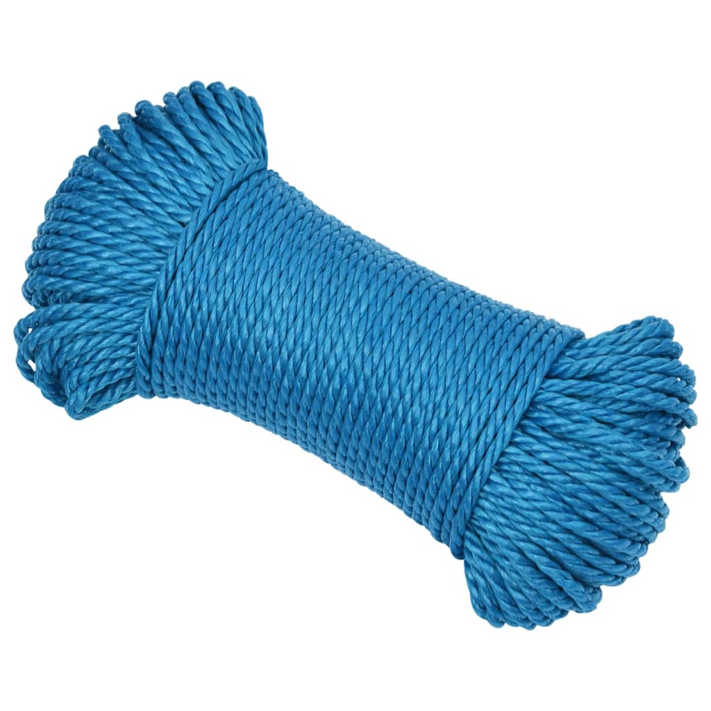 Vidaxl Werkouw 6 mm 50 m Polypropene Blue