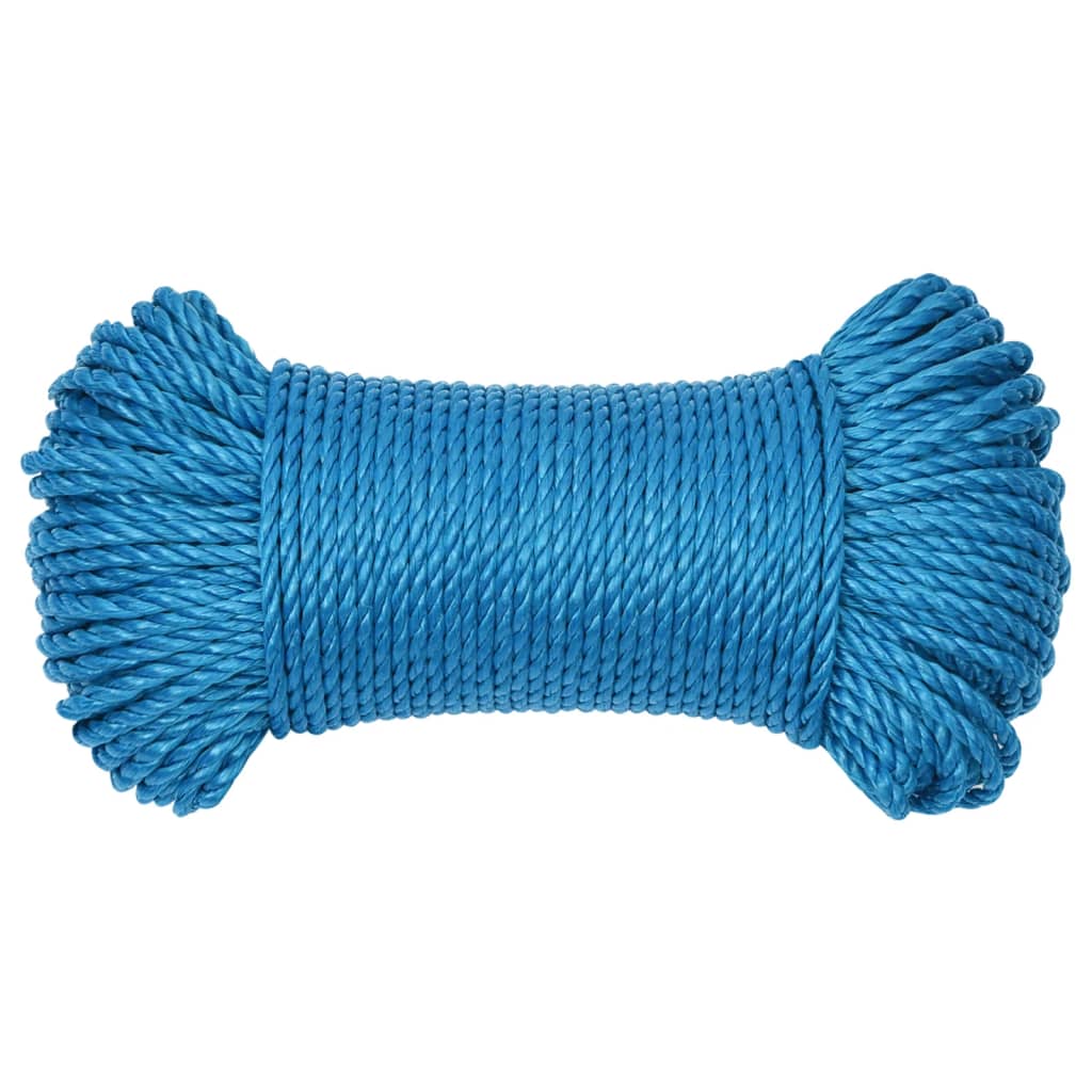 Vidaxl Werkouw 6 mm 50 m Polypropenblau