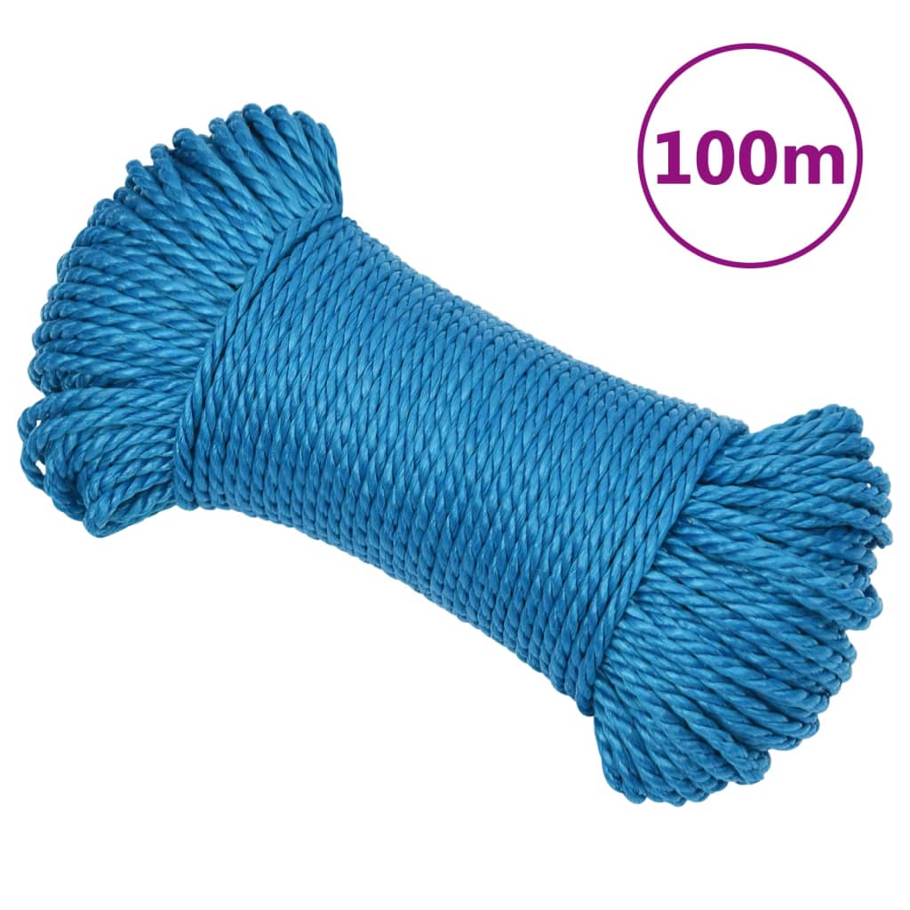 Vidaxl Werkouw 6 mm 100 m Polypropenblau