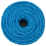 Vidaxl werktouw 10 mm 25 m polypropeen blauw