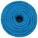 Vidaxx Arbeitsseil 16 mm 50 m Polypropylen blau
