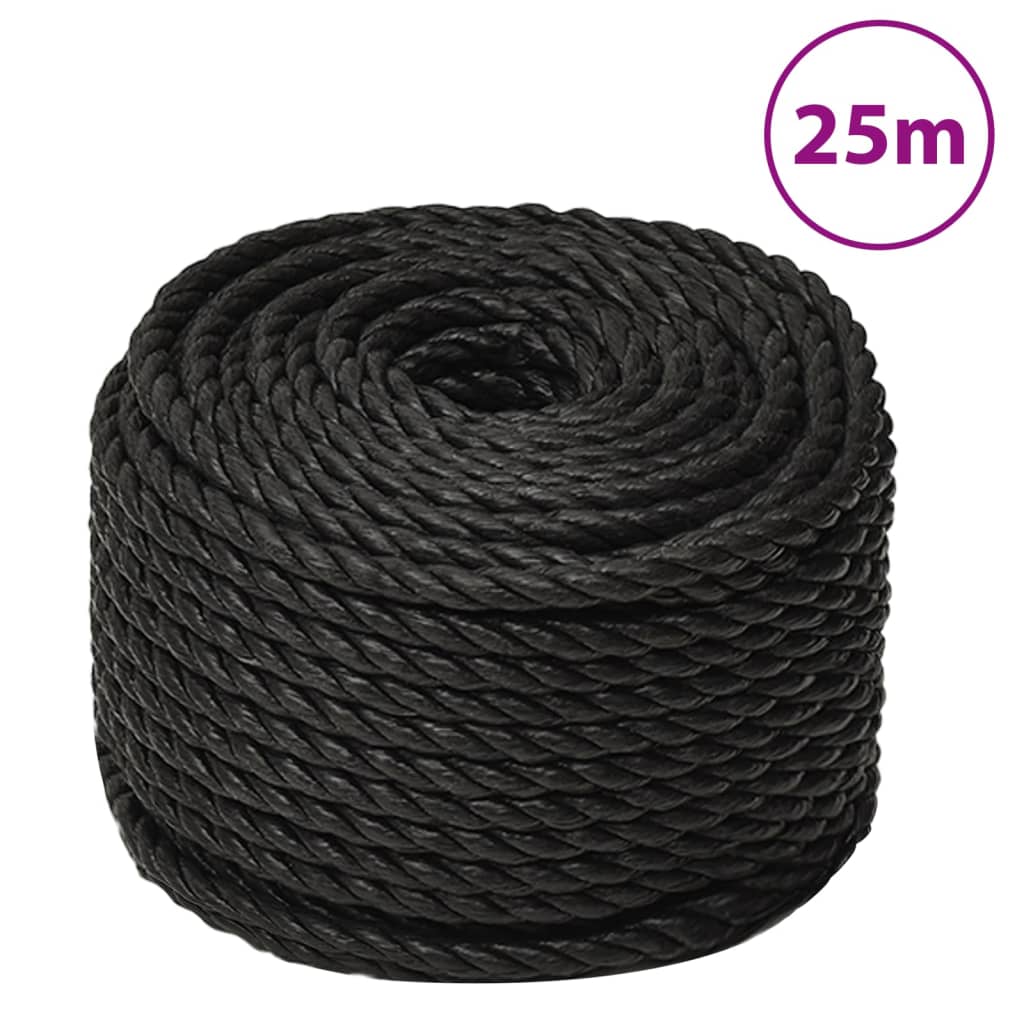 Vidaxx Arbeitsseil 10 mm 25 m Polypropylen schwarz