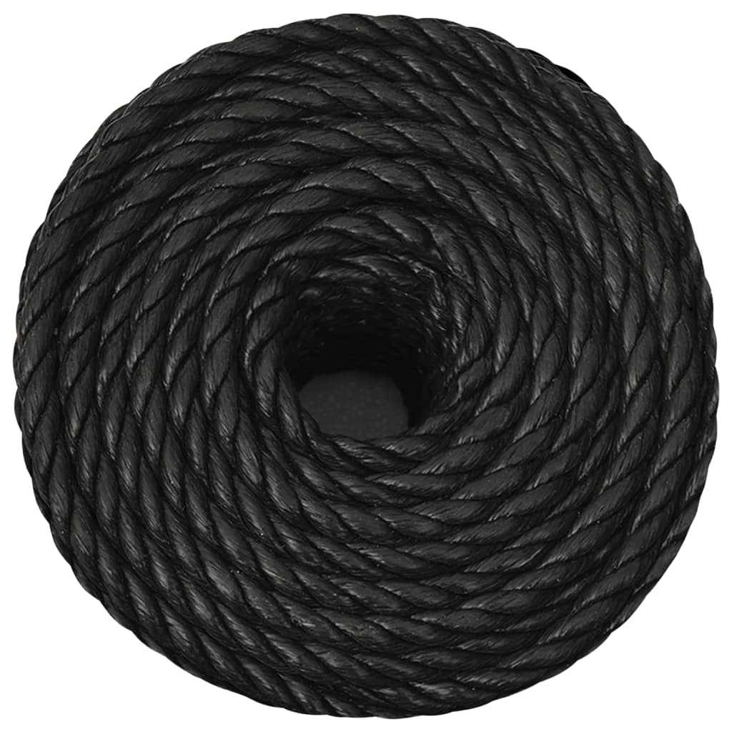 Vidaxx Arbeitsseil 10 mm 25 m Polypropylen schwarz