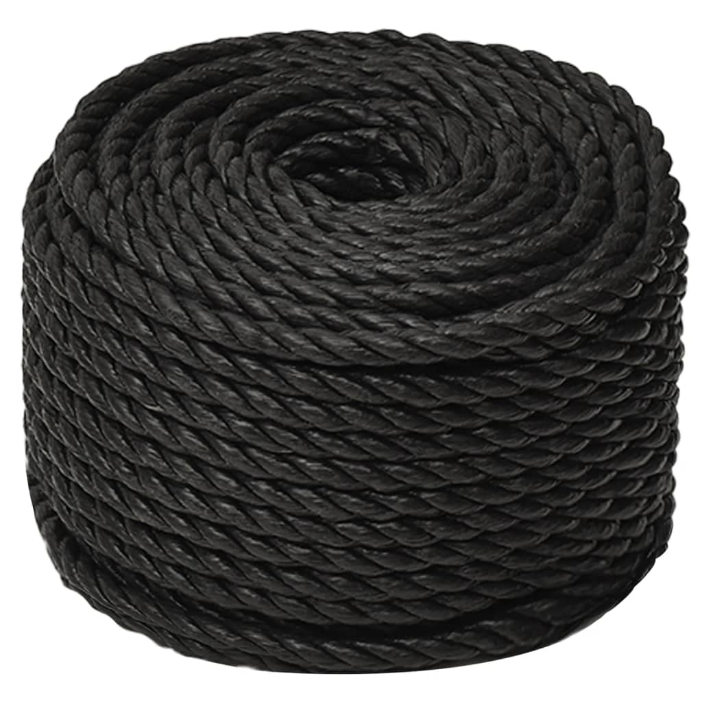 Vidaxx Arbeitsseil 10 mm 100 m Polypropylen schwarz