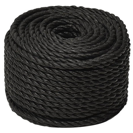 Vidaxx Arbeitsseil 24 mm 100 m Polypropylen schwarz
