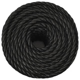 Vidaxx Arbeitsseil 24 mm 100 m Polypropylen schwarz