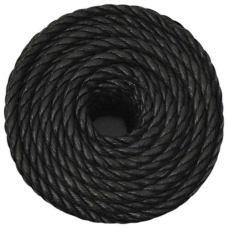 Vidaxx Arbeitsseil 20 mm 25 m Polypropylen schwarz