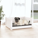 Vidaxl Dog Basket 65.5x50.5x28 cm Pine solide blanc