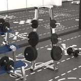 VIDAXL -Halfterscheibe 20 kg Gusseisen