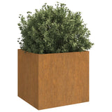 Vidaxl Planning Box 49x47x46 CM Cortenstaal