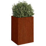 VIDAXL -Planungsbox 42x38x75 cm cortenstaal