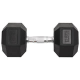 Vidaxl Halter 2 St 25 kg Gusseisen