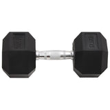 Vidaxl halters 17,5 kg gietijzer