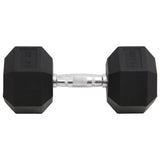 Vidaxl -Halter 22,5 kg Gusseisen