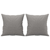 Vidaxl Dekorative Kissen 2 ST 40x40 cm Stoff hellgrau