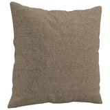 Vidaxl Dekorative Kissen 2 ST 40x40 cm Stofftaupe