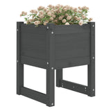 VIDAXL -Pflanzer 2 ST 40x40x52,5 cm Festkieferngrau grau grau