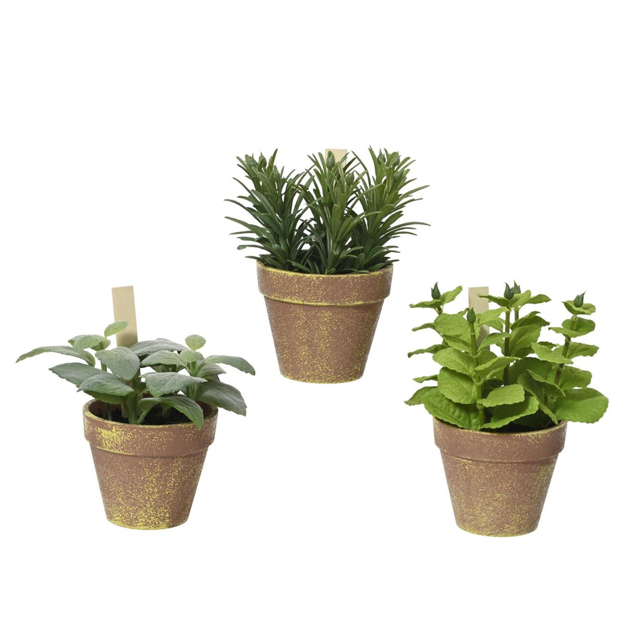 Decoris-Pflanze im Topf 15x15x17cm