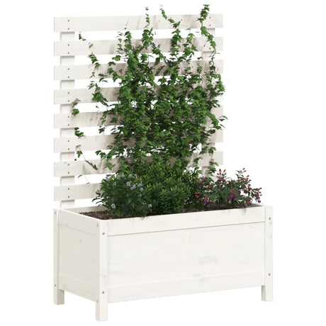 VIDAXL -Pflanzer mit Rack 79x39.5x114 cm Festkiefern Weiß weiß